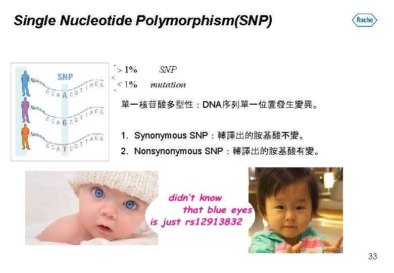 Single Nucleotide Polymorphism(SNP) 單一核苷酸多型性：DNA序列單一位置發生變異。 1. Synonymous SNP：轉譯出的胺基酸不變。 2. Nonsynonymous SNP：轉譯出的胺基酸有變。 33 