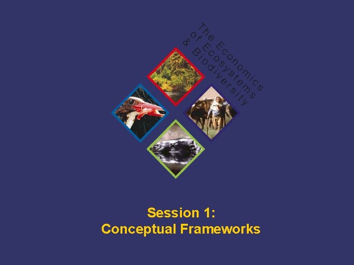 Session 1: Conceptual Frameworks TEEB Training 