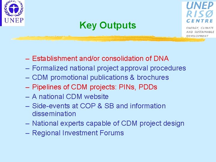 Key Outputs – – – Establishment and/or consolidation of DNA Formalized national project approval