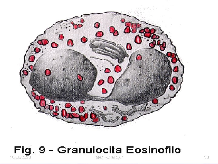 10/30/2020 alen vukelić, dr 30 