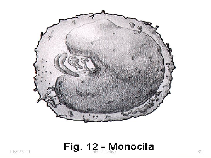 10/30/2020 alen vukelić, dr 36 