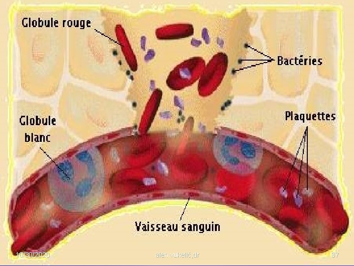 10/30/2020 alen vukelić, dr 37 