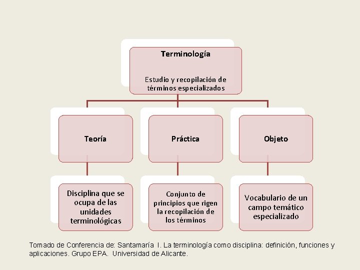 Terminología Estudio y recopilación de términos especializados Teoría Práctica Objeto Disciplina que se ocupa