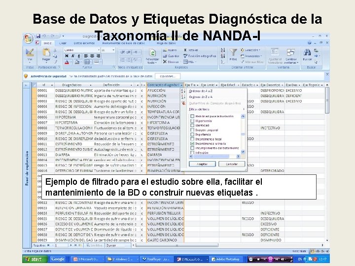 Base de Datos y Etiquetas Diagnóstica de la Taxonomía II de NANDA-I Ejemplo de