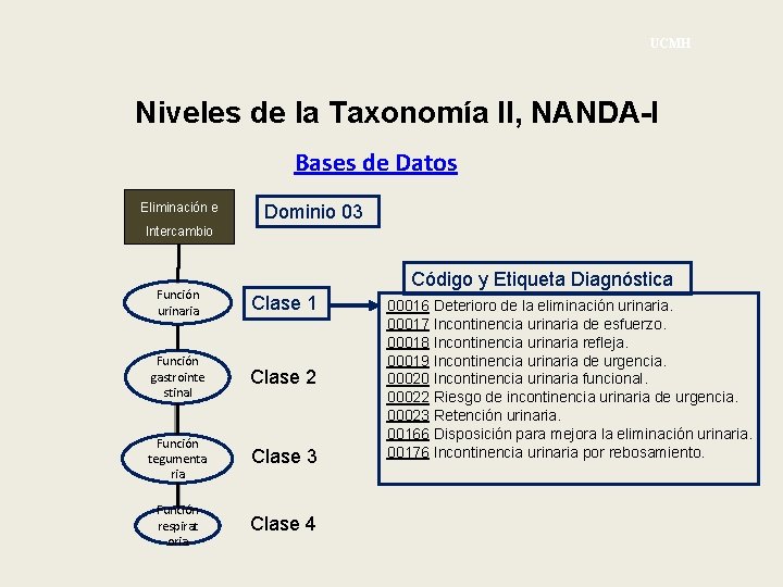 UCMH Niveles de la Taxonomía II, NANDA-I Bases de Datos Eliminación e Dominio 03