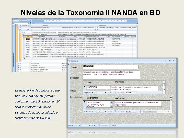 Niveles de la Taxonomía II NANDA en BD La asignación de códigos a cada