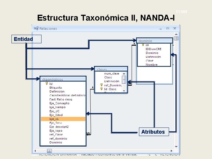 Estructura Taxonómica II, NANDA-I Entidad Atributos UCMH 