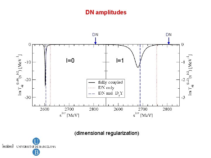 DN amplitudes DN I=0 DN I=1 (dimensional regularization) 