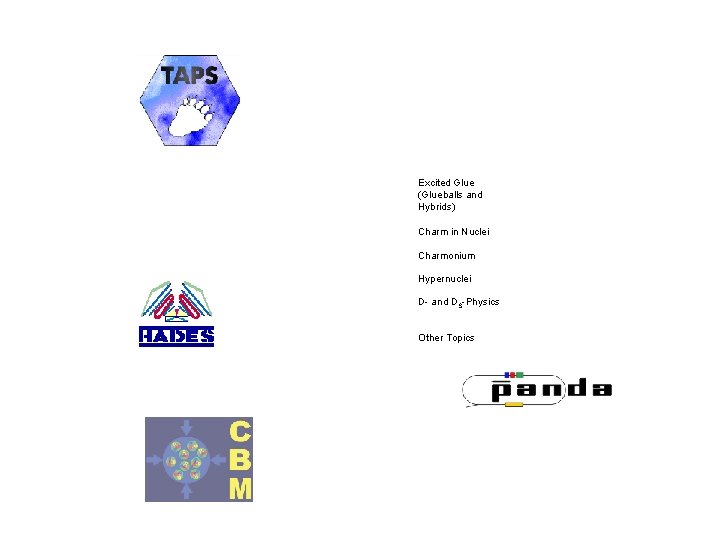 Excited Glue (Glueballs and Hybrids) Charm in Nuclei Charmonium Hypernuclei D- and DS-Physics Other