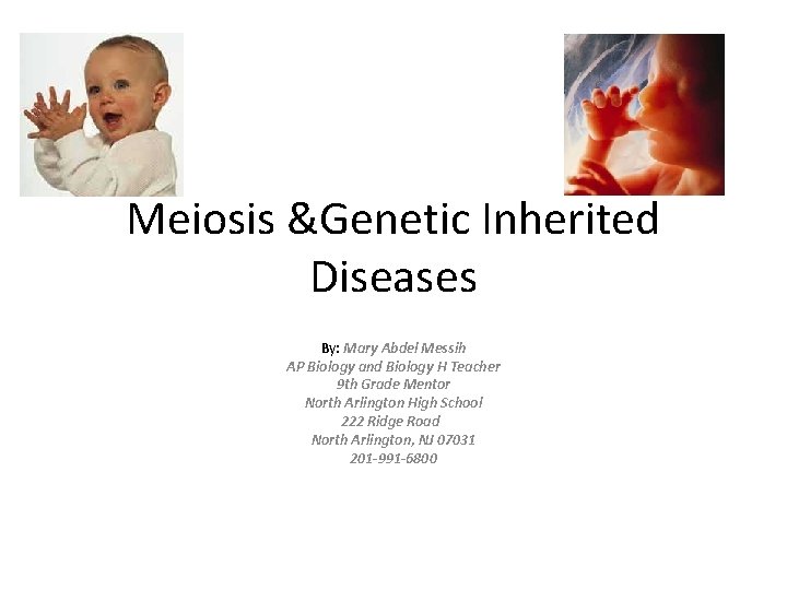 Meiosis &Genetic Inherited Diseases By: Mary Abdel Messih AP Biology and Biology H Teacher