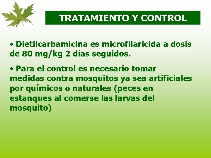 TRATAMIENTO Y CONTROL • Dietilcarbamicina es microfilaricida a dosis de 80 mg/kg 2 días