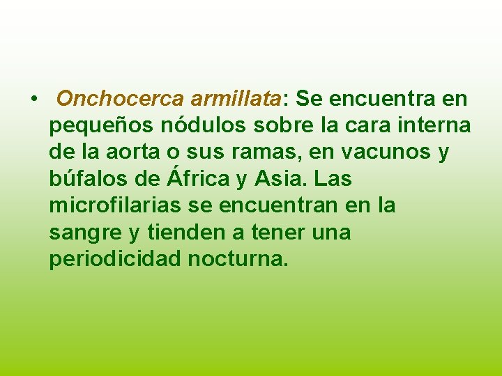  • Onchocerca armillata: Se encuentra en pequeños nódulos sobre la cara interna de