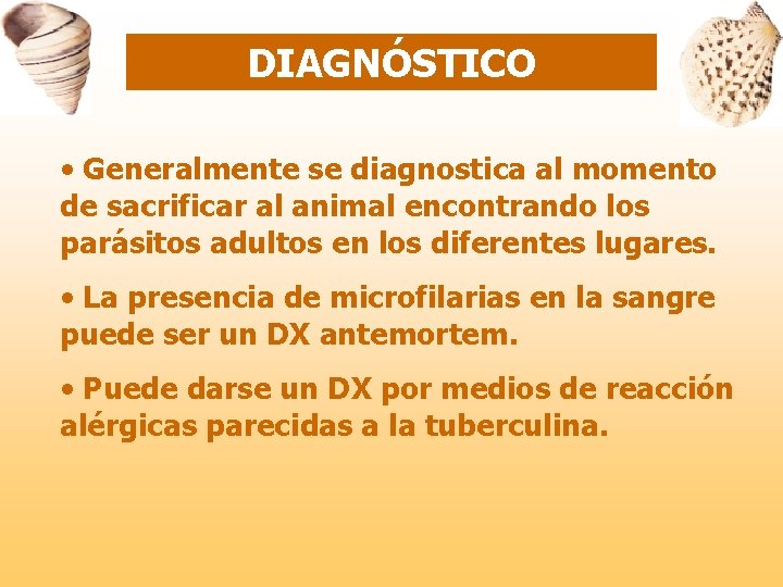 DIAGNÓSTICO • Generalmente se diagnostica al momento de sacrificar al animal encontrando los parásitos