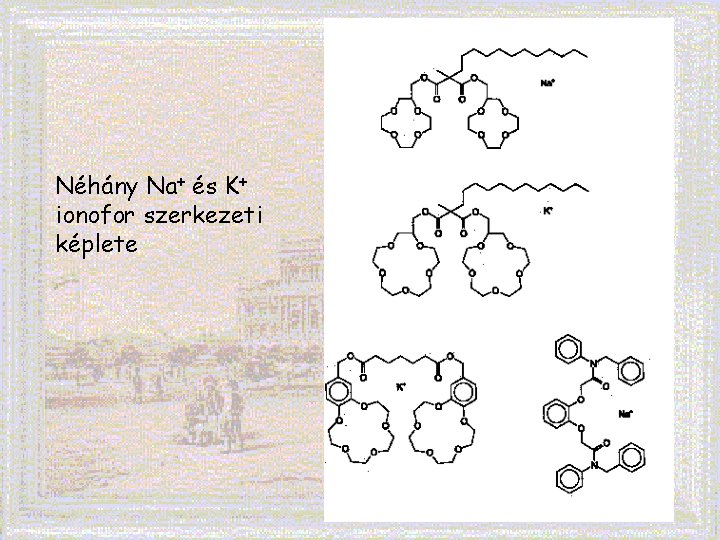 Néhány Na+ és K+ ionofor szerkezeti képlete 