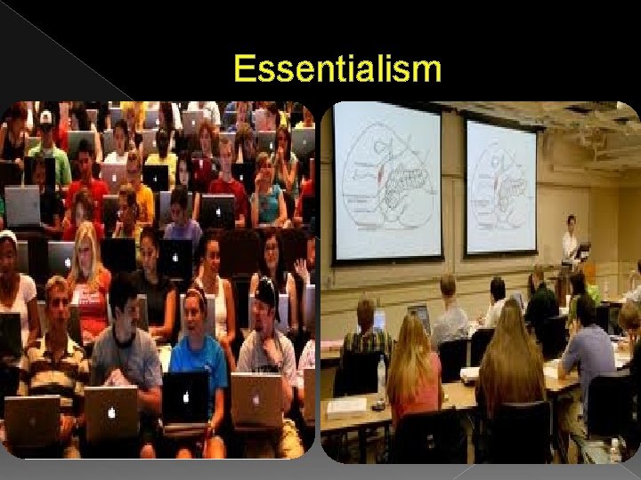 Essentialism Essentialism
