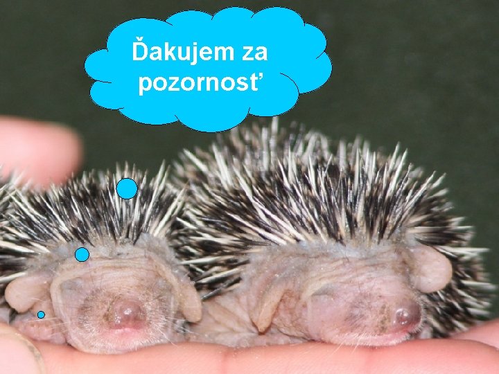 Ďakujem za pozornosť 