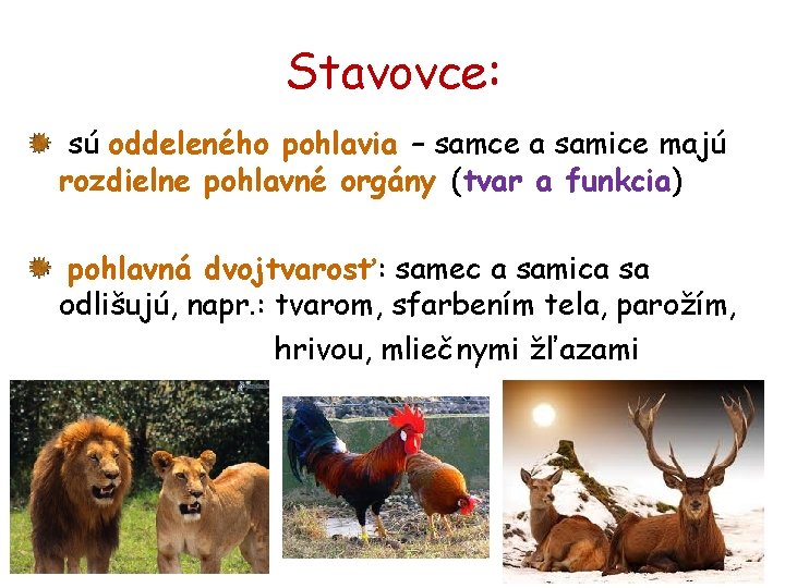 Stavovce: sú oddeleného pohlavia – samce a samice majú rozdielne pohlavné orgány (tvar a