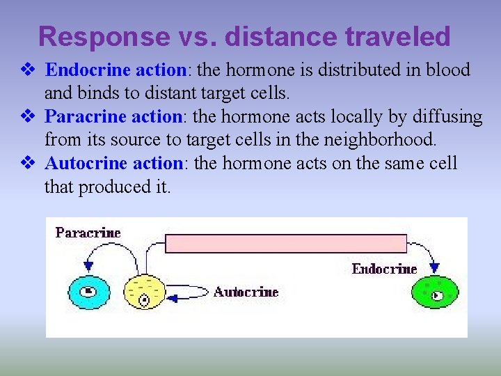 Response vs. distance traveled v Endocrine action: the hormone is distributed in blood and