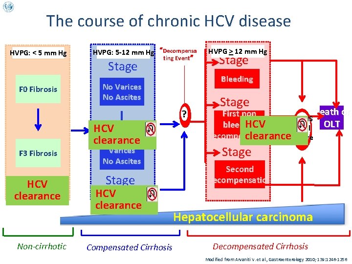 The course of chronic HCV disease HVPG: < 5 mm Hg F 0 Fibrosis