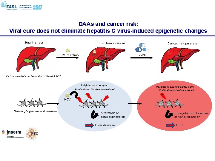 DAAs and cancer risk: Viral cure does not eliminate hepatitis C virus-induced epigenetic changes