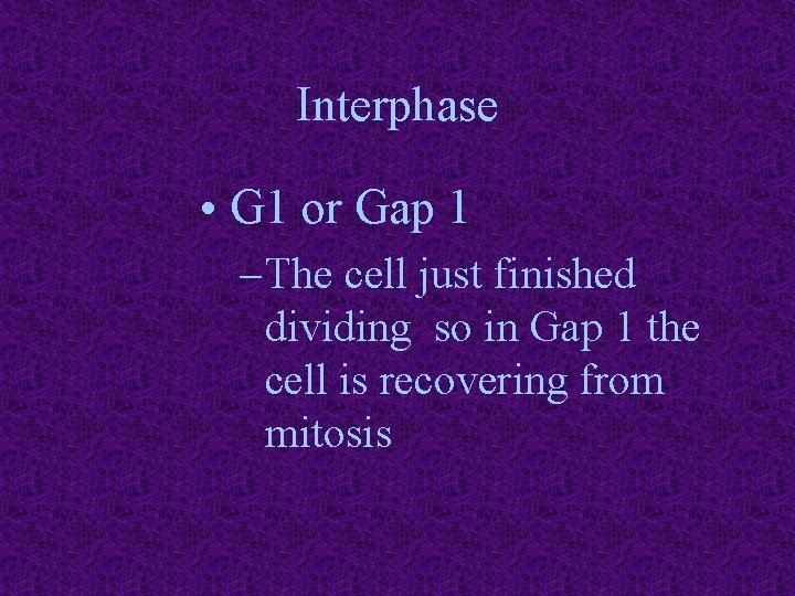 Interphase • G 1 or Gap 1 – The cell just finished dividing so