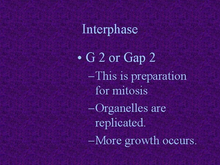Interphase • G 2 or Gap 2 – This is preparation for mitosis –