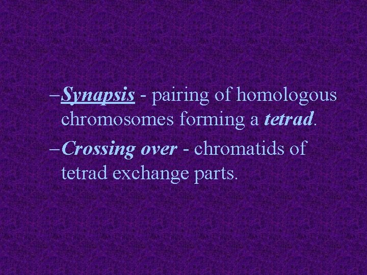 – Synapsis - pairing of homologous chromosomes forming a tetrad. – Crossing over -