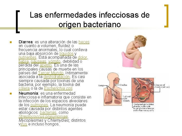 Las enfermedades infecciosas de origen bacteriano n n Diarrea: es una alteración de las