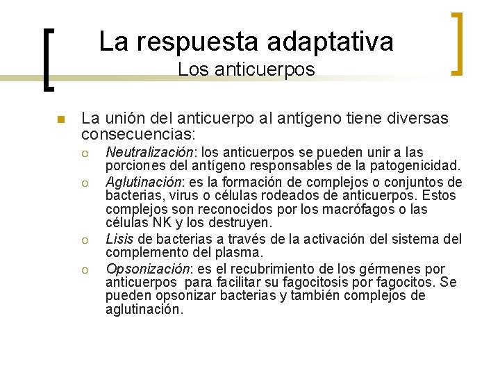 La respuesta adaptativa Los anticuerpos n La unión del anticuerpo al antígeno tiene diversas