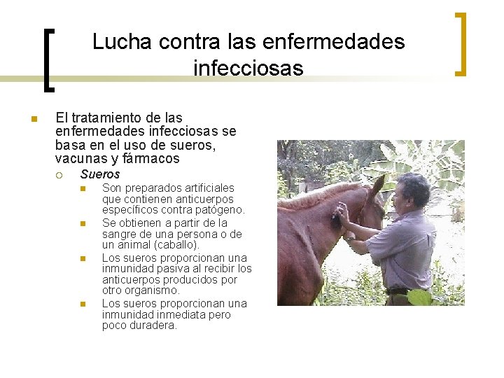 Lucha contra las enfermedades infecciosas n El tratamiento de las enfermedades infecciosas se basa