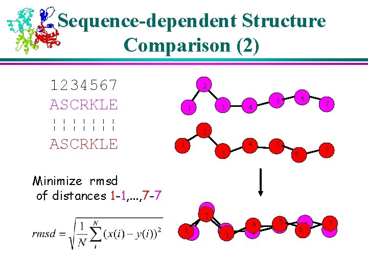 Sequence-dependent Structure Comparison (2) 1234567 ASCRKLE ¦¦¦¦¦¦¦ ASCRKLE 2 1 3 4 6 5