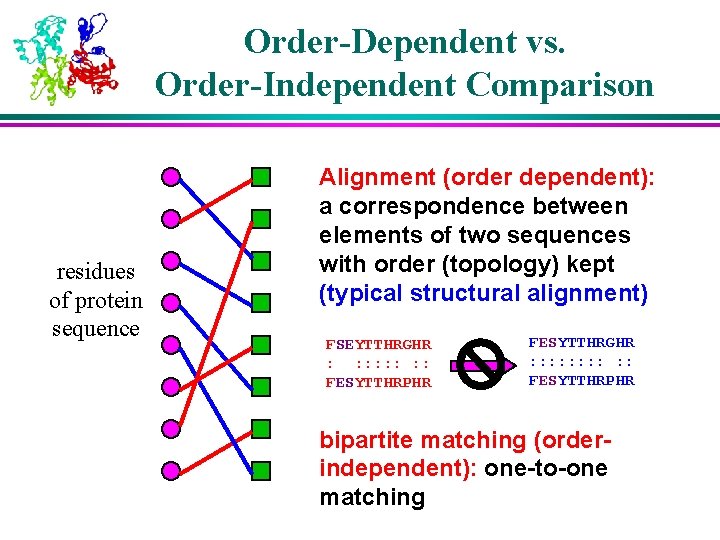 Order-Dependent vs. Order-Independent Comparison residues of protein sequence Alignment (order dependent): a correspondence between