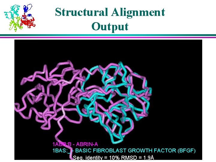 Structural Alignment Output 1 ABR: B - ABRIN-A 1 BAS: _ - BASIC FIBROBLAST