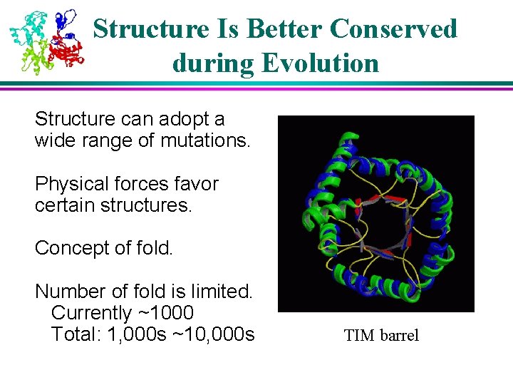 Structure Is Better Conserved during Evolution Structure can adopt a wide range of mutations.