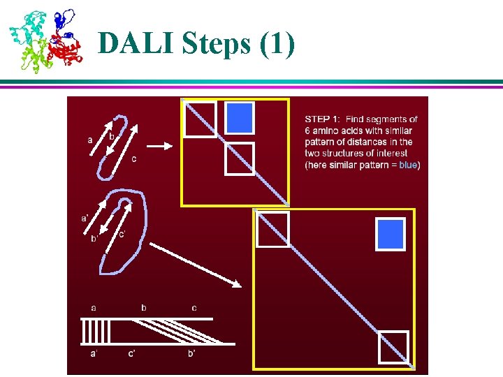 DALI Steps (1) 