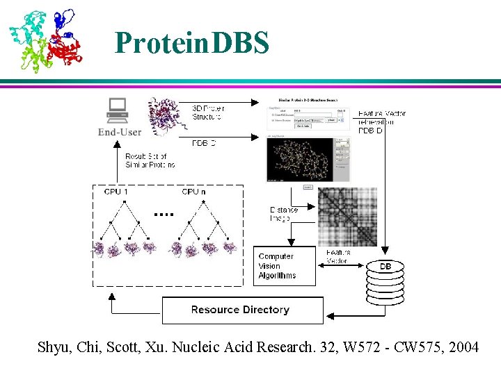 Protein. DBS Shyu, Chi, Scott, Xu. Nucleic Acid Research. 32, W 572 - CW