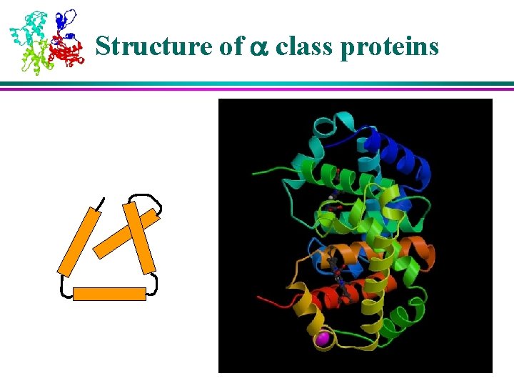 Structure of a class proteins 