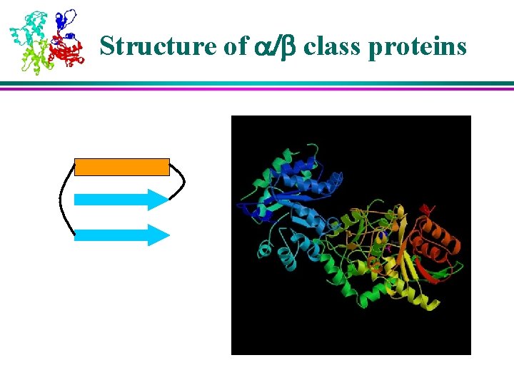 Structure of a/b class proteins 