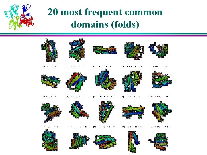 20 most frequent common domains (folds) 