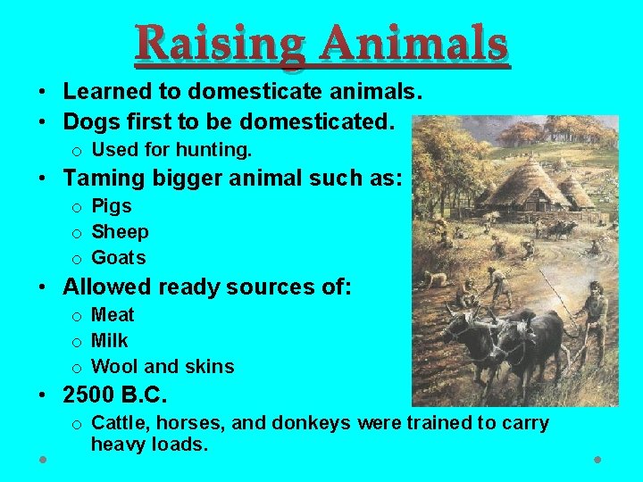 Raising Animals • Learned to domesticate animals. • Dogs first to be domesticated. o