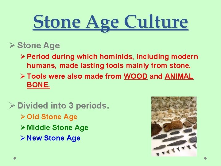 Stone Age Culture Ø Stone Age: Ø Period during which hominids, including modern humans,