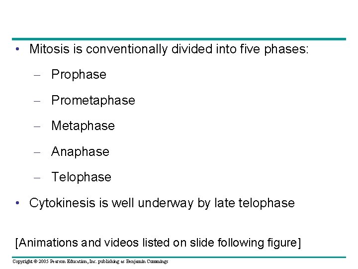  • Mitosis is conventionally divided into five phases: – Prophase – Prometaphase –