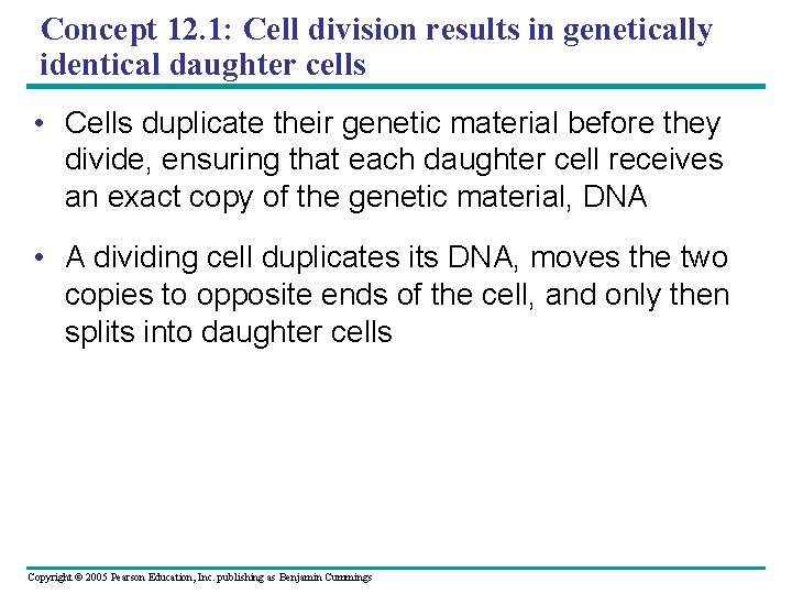 Concept 12. 1: Cell division results in genetically identical daughter cells • Cells duplicate