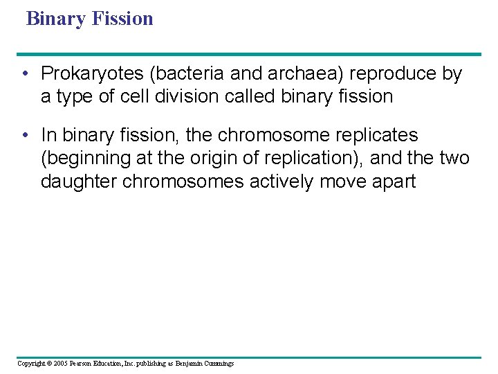 Binary Fission • Prokaryotes (bacteria and archaea) reproduce by a type of cell division