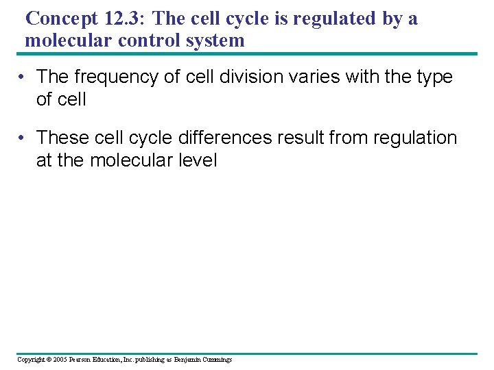 Concept 12. 3: The cell cycle is regulated by a molecular control system •