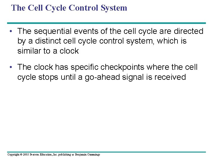 The Cell Cycle Control System • The sequential events of the cell cycle are