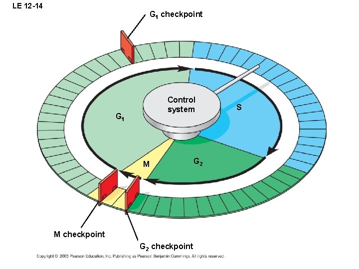 LE 12 -14 G 1 checkpoint Control system G 1 M M checkpoint G