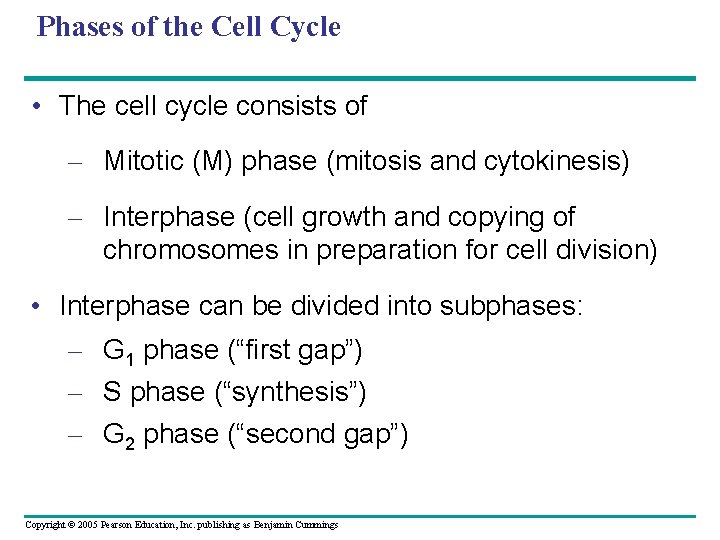 Phases of the Cell Cycle • The cell cycle consists of – Mitotic (M)