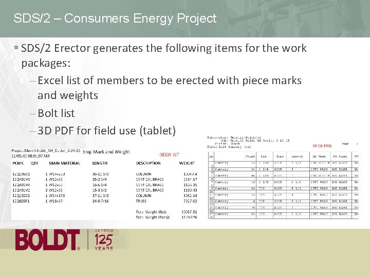 SDS/2 – Consumers Energy Project § SDS/2 Erector generates the following items for the
