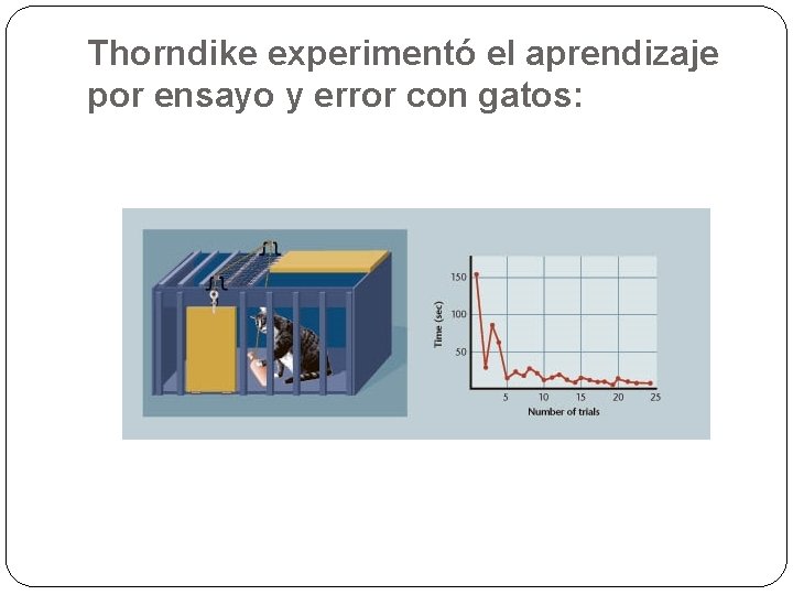 Thorndike experimentó el aprendizaje por ensayo y error con gatos: Thorndike experimentó el aprendizaje por ensayo y error con gatos: